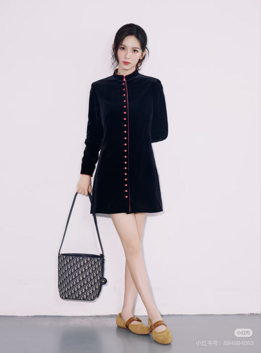 CD NEW velvet dress